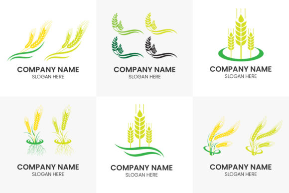 Agriculture Wheat Logo Design Set: Harvesting Authentic Brand Identity